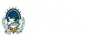 gobierno-toro-toro